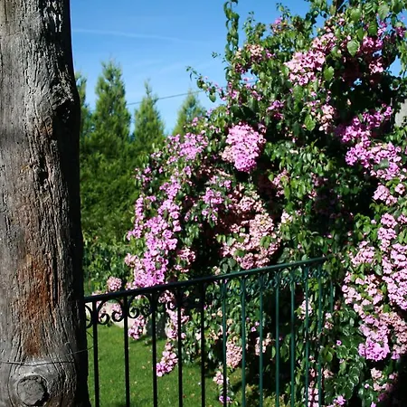 Quinta D'arroteia *