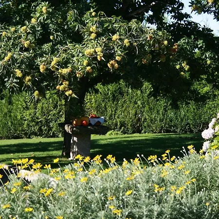 Quinta D'arroteia Alojamento de Turismo Rural *