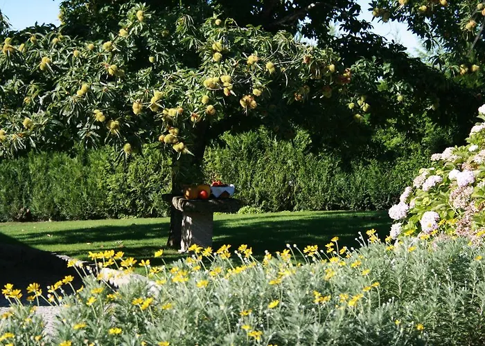 Quinta D'arroteia Κατάλυμα σε φάρμα *